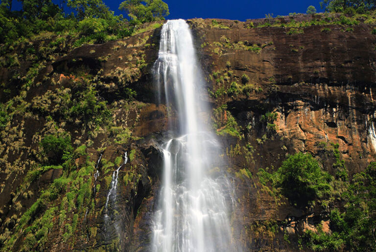 post bambarakanda 1280x859